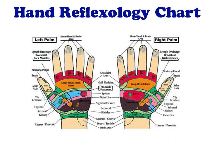 reflexology chart
